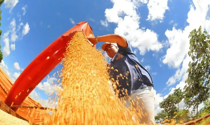 Atividade econômica brasileira cresce 0,6% em fevereiro