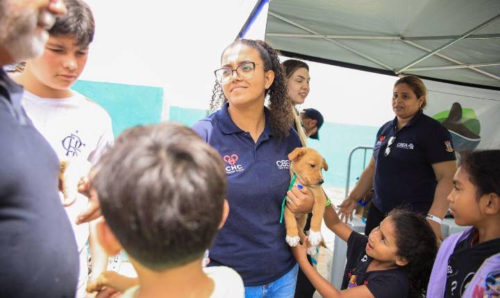 Galeria de Imagem
