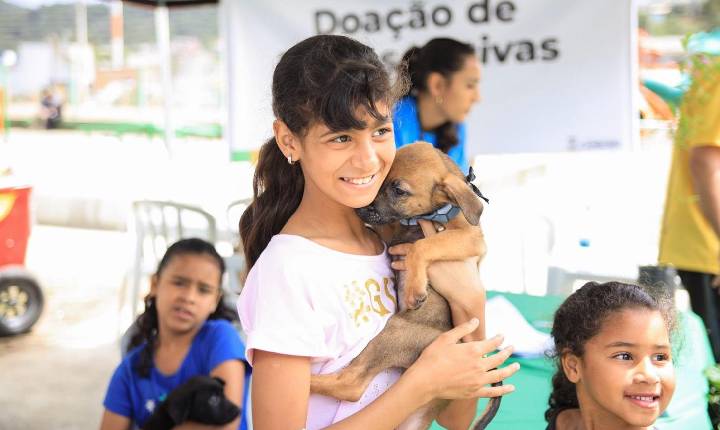 Galeria de Imagem