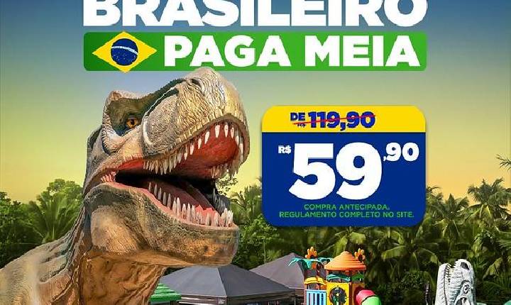 Galeria de Imagem