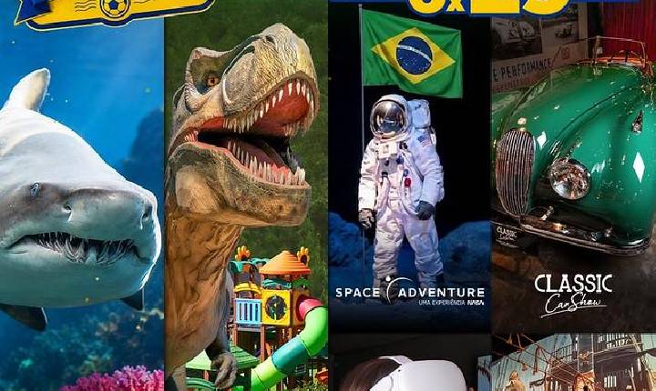 Galeria de Imagem