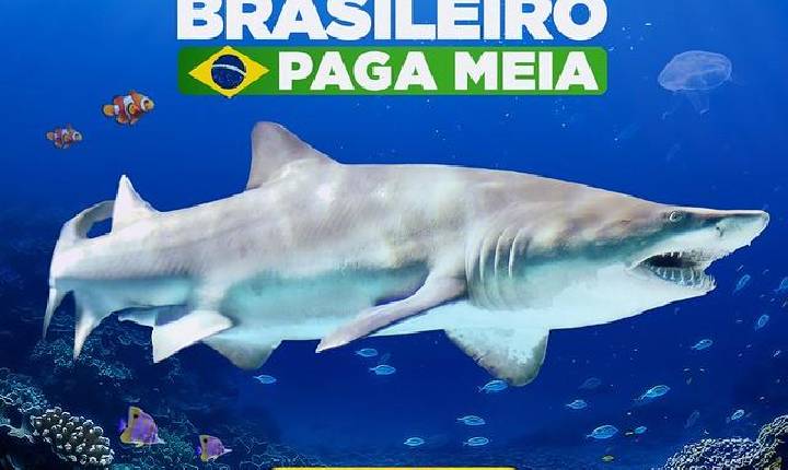 Galeria de Imagem