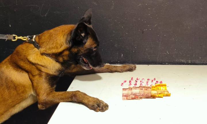 Com o apoio do cão de faro Bruce, traficante é preso pela Polícia Militar no bairro Cordeiros