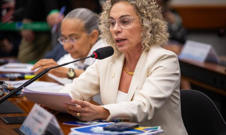 Comissão de Constituição e Justiça aprova parecer de Ana Paula Lima que torna nulo casamento de menores de 16 anos