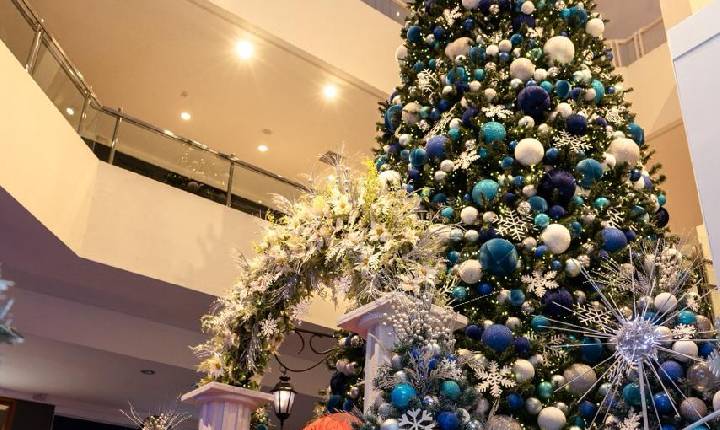 Galeria de Imagem