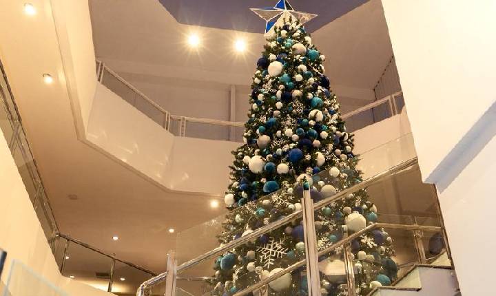 Galeria de Imagem