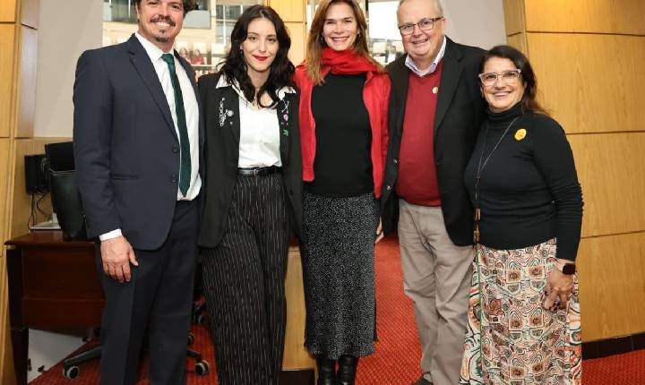 Galeria de Imagem