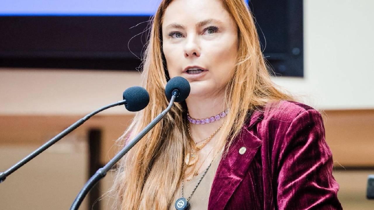 Deputada Paulinha propõe Comissão Mista para avaliar todos os PL's de proteção à mulher e combate ao feminicídio em Santa Catarina