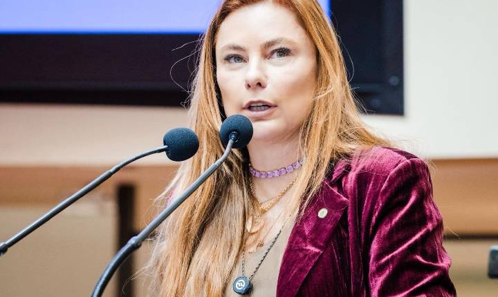 Deputada Paulinha propõe Comissão Mista para avaliar todos os PL's de proteção à mulher e combate ao feminicídio em Santa Catarina