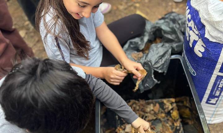 Dia Mundial do Meio Ambiente: Programa Plantar integra educação ambiental e alimentação saudável nas escolas de Balneário Camboriú