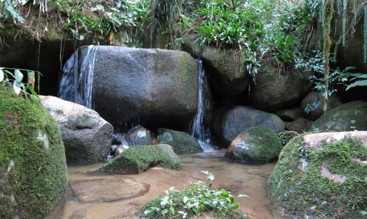 Galeria de Imagem