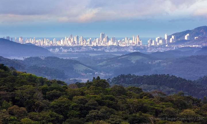 Galeria de Imagem