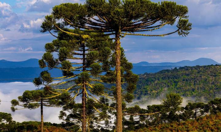 Fim de semana terá manhãs frias e risco de temporais em Santa Catarina