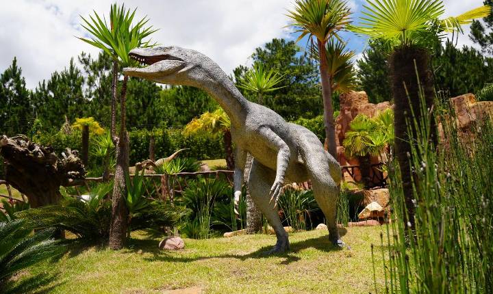 Fósseis e até fezes petrificadas: como paleontólogos descobrem os hábitos dos dinossauros