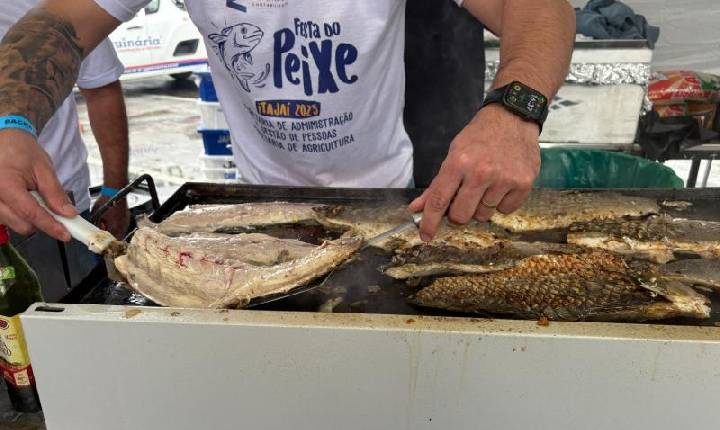 Inscrições abertas para credenciamento da Festa do Peixe 2026 em Itajaí