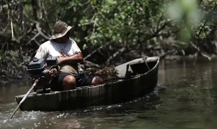 INSS paga em julho R$ 874 milhões a 149,5 mil pescadores
