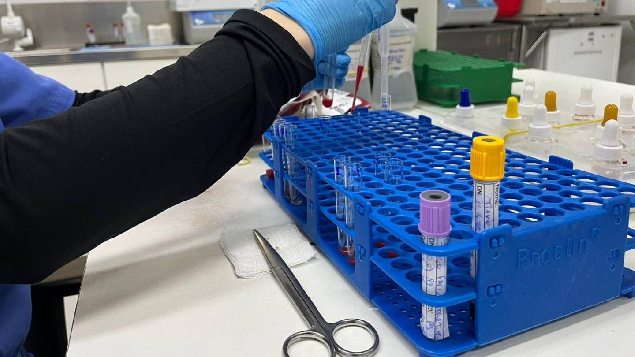 Junho Vermelho: Saúde de Balneário Camboriú facilita doação de sangue com transporte gratuito