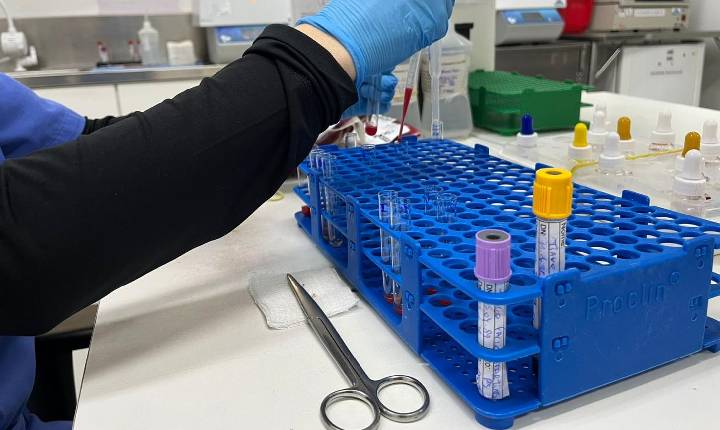 Junho Vermelho: Saúde de Balneário Camboriú facilita doação de sangue com transporte gratuito