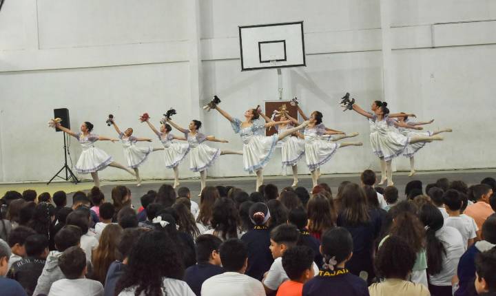 Galeria de Imagem