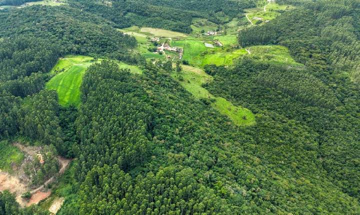 Mais Verde: Governo de Santa Catarina abre inscrições para programa que incentiva a conservação da vegetação nativa no meio rural
