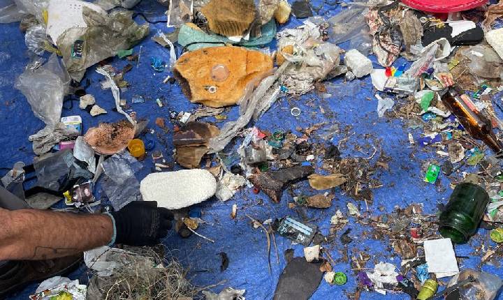 Mergulhadores profissionais realizam a limpeza dos costões de Balneário Camboriú