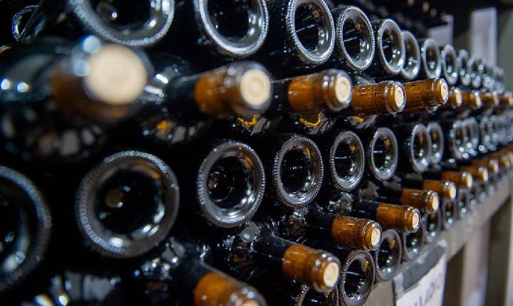 Número de vinícolas cresceu 29% em Santa Catarina desde 2020