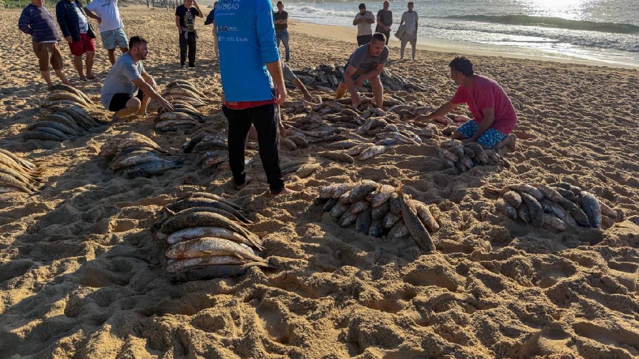 Pesca da tainha é retomada em Balneário Camboriú após liberação de cota extra