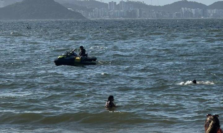 Galeria de Imagem