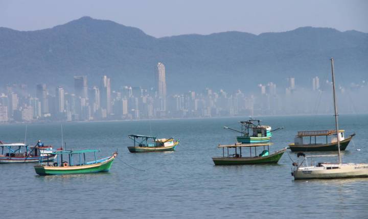 Porto Belo lidera alta e impulsiona CRI Day