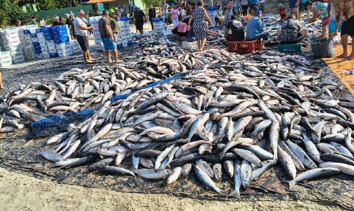 Senador Hermes Klann apresenta projeto para derrubar portaria que limita pesca da tainha e defende pescadores artesanais
