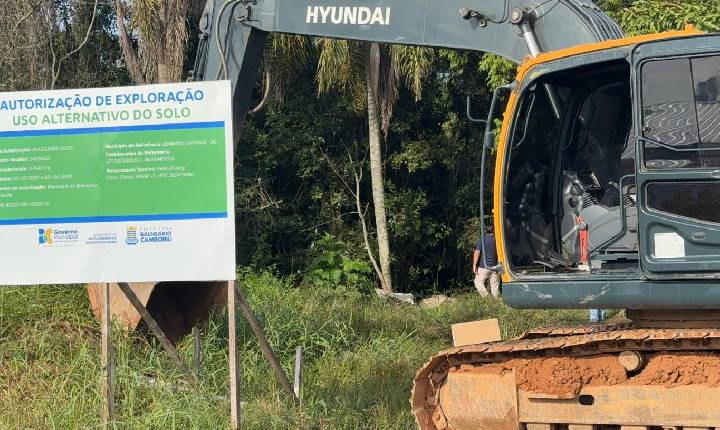 Supressão de vegetação para construção da policlínica é iniciada em Balneário Camboriú