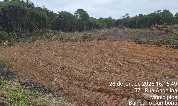 Galeria de Imagem