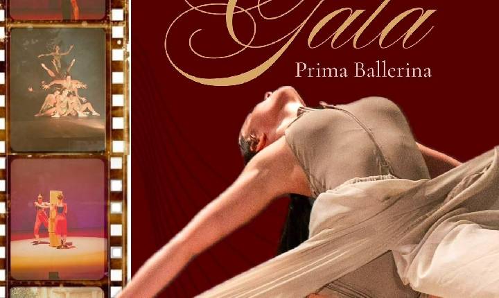 Galeria de Imagem