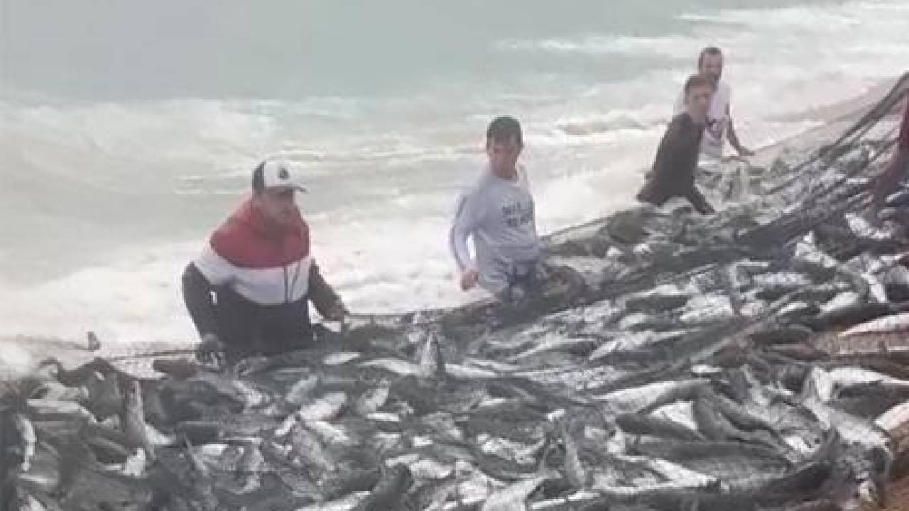 Temporada de pesca artesanal da tainha começa nesta sexta-feira