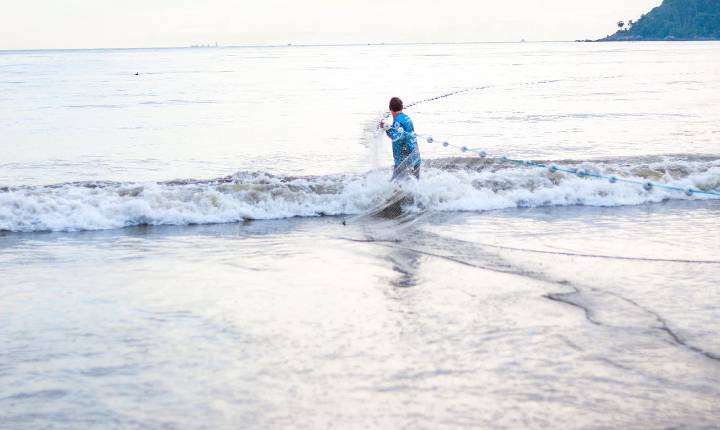 Galeria de Imagem
