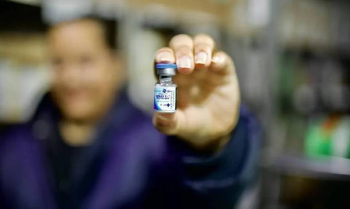 Vacina gratuita contra bronquiolite para gestantes e bebês já está disponível no SUS 