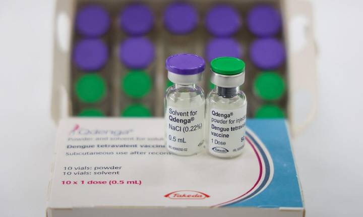 Vacinação contra a dengue para adolescentes segue disponível em Santa Catarina
