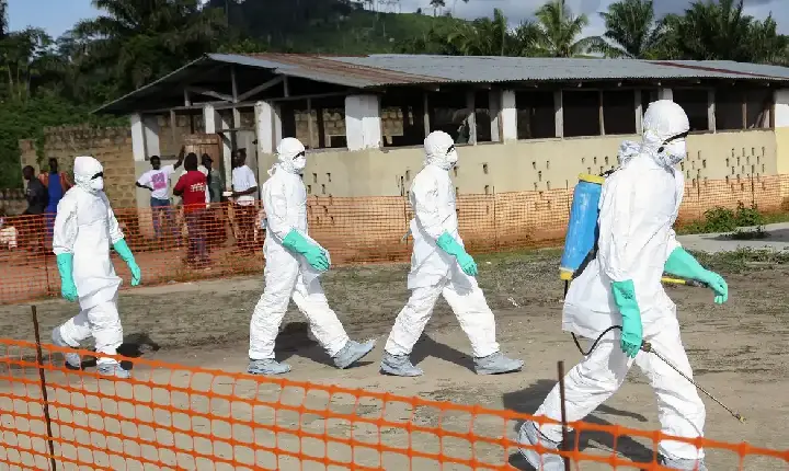 Voluntários brasileiros morrem no Congo devido a surto de Ebola