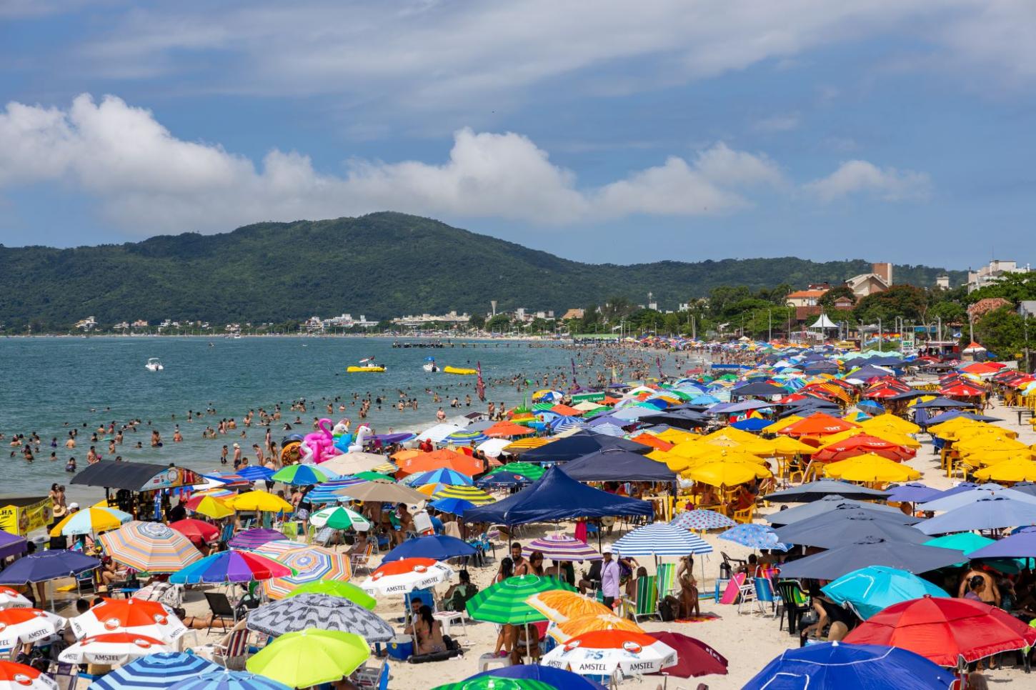 Confira os golpes mais comuns e as dicas do Procon de Santa Catarina para evitá-los