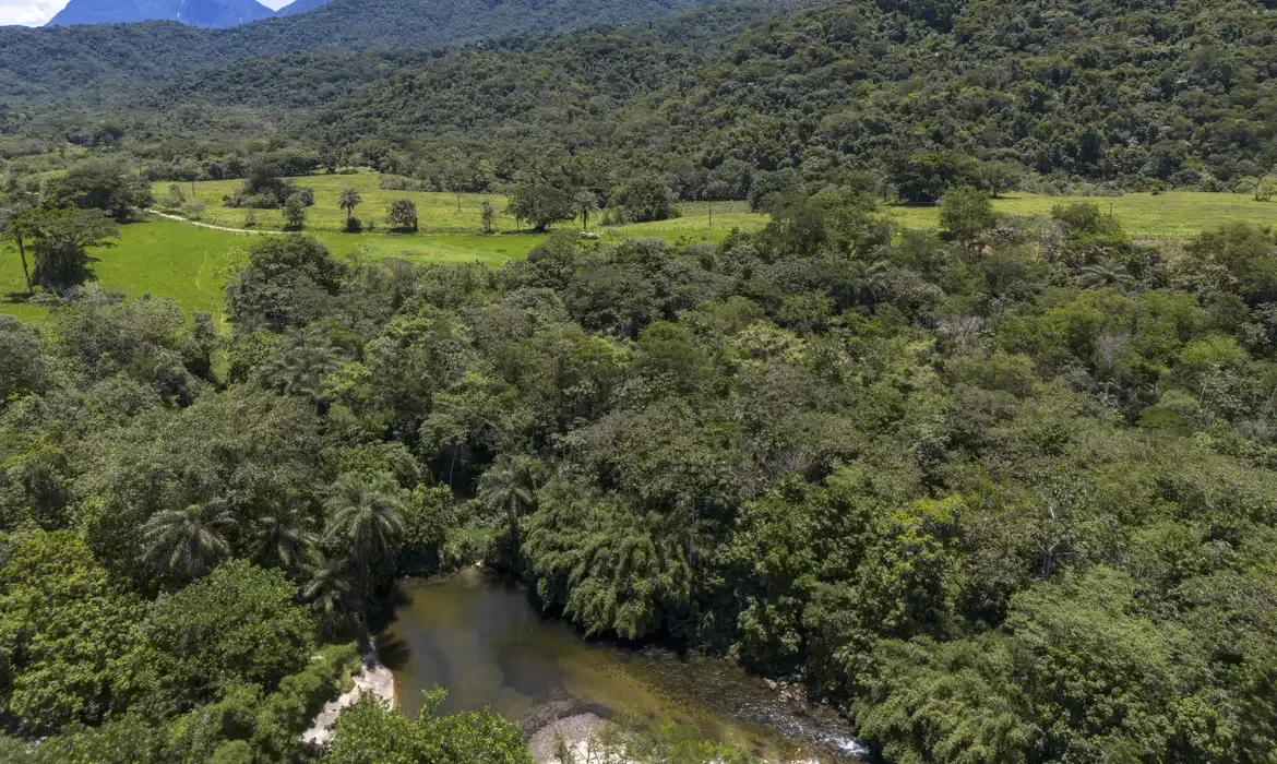 Ministério do Meio Ambiente abre consulta para plano de prevenção na Mata Atlântica