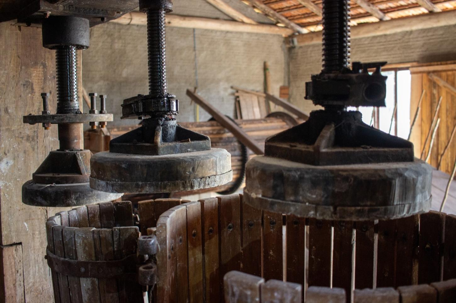 Grande Farinhada do Sertão reúne farinheiros da Rede Catarinense de Engenhos de Farinha em Bombinhas
