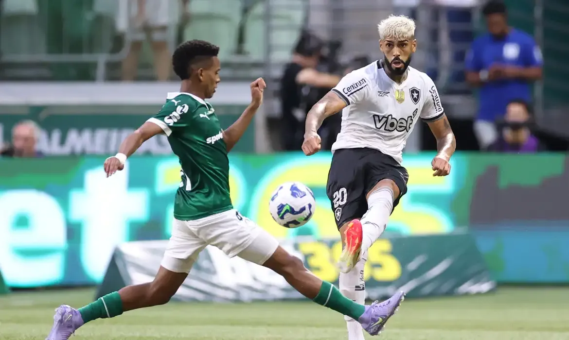 Palmeiras X Botafogo Copa Do Mundo De Clubes - Palmeiras elimina botafogo e avança na copa do mundo de clubes da fifa