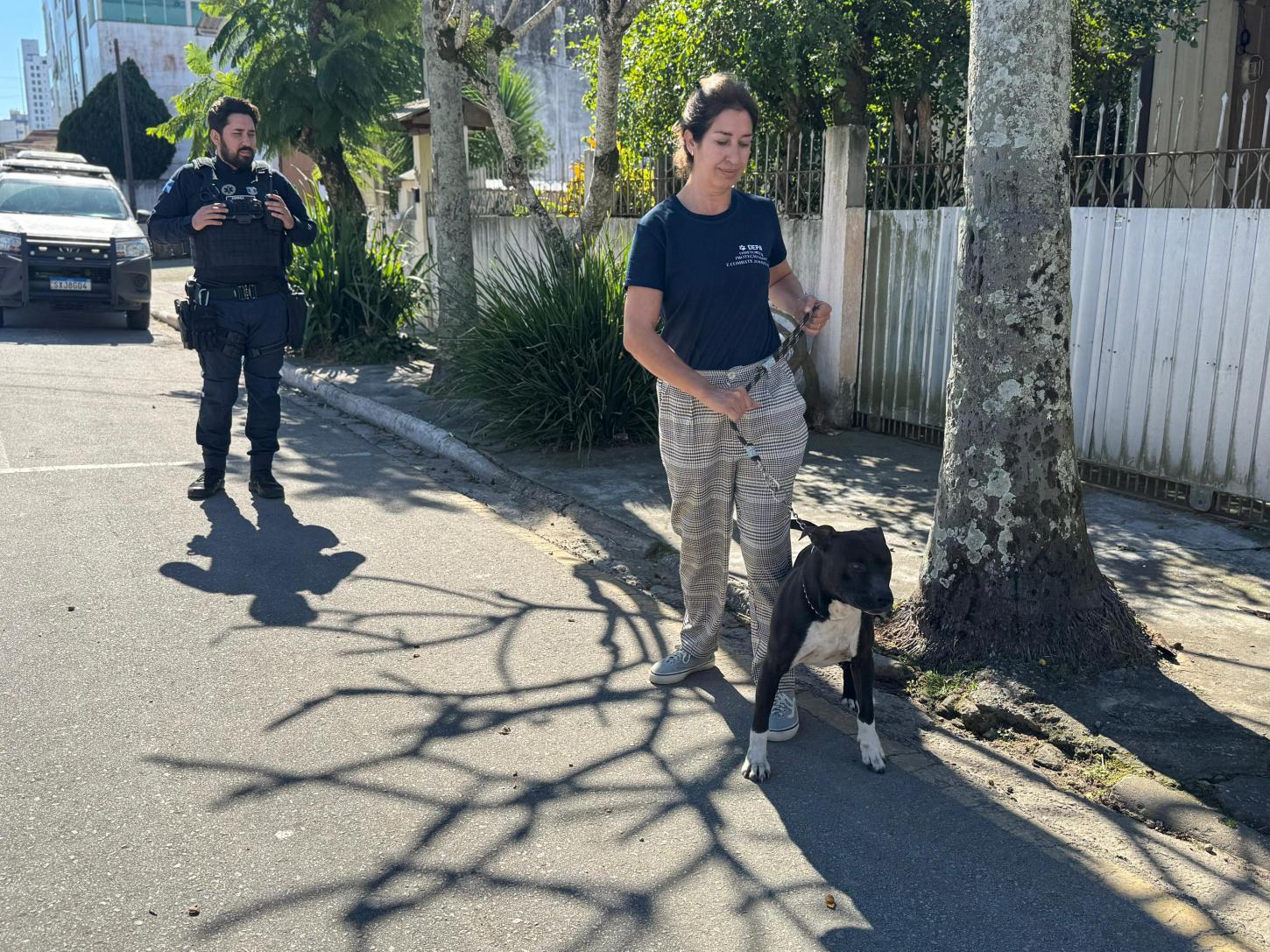 Pitbull abandonado é resgatado pela DCMCA e Guarda Municipal de Balneário Camboriú