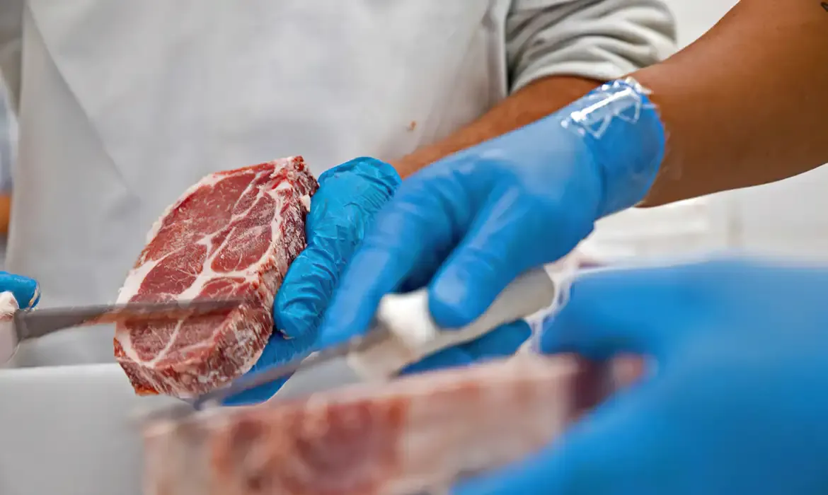 Brasil vai exportar carne bovina para Indonésia