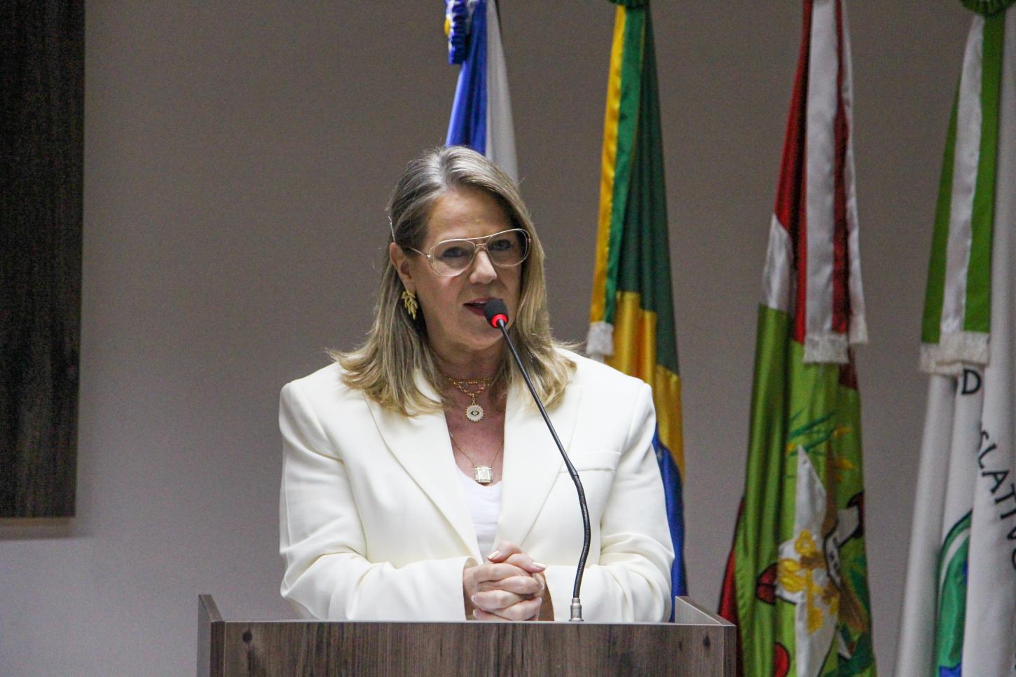 Lei: “Semana Maio Furta-Cor”, de autoria da vereadora Ciça Müller, tem redação final aprovada