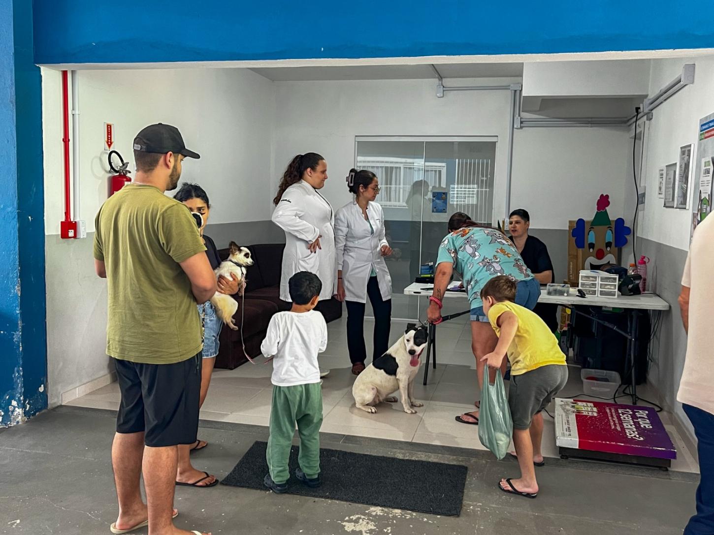 Mais de 140 castrações gratuitas de cães e gatos foram realizadas neste domingo em Balneário Camboriú