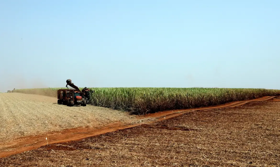 IBGE prevê safra recorde de 346 milhões de toneladas em 2025