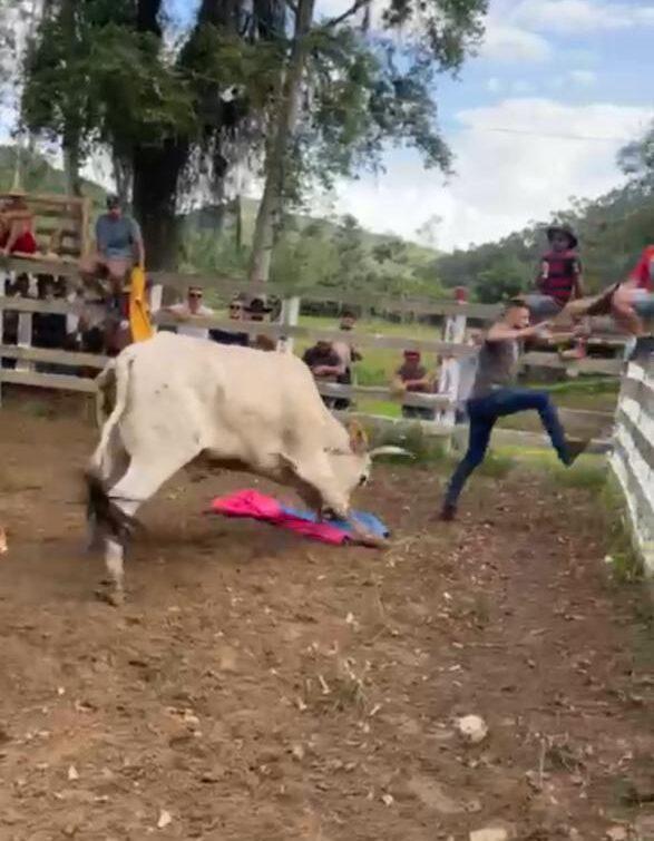 40 homens são indiciados por crimes de maus-tratos a animais decorrentes da prática de Farra do Boi