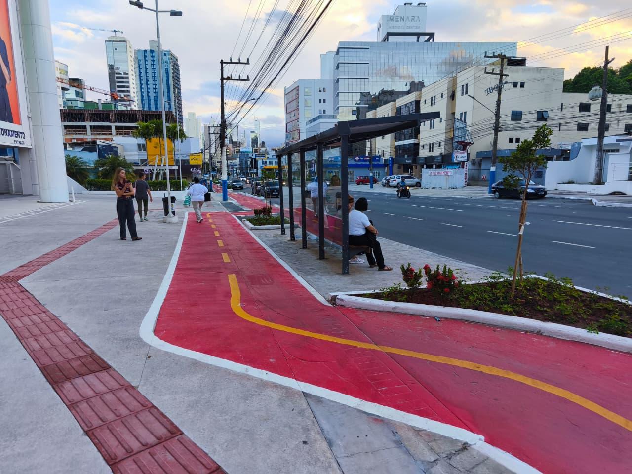 Implantação de ciclovia em trecho da Avenida do Estado é concluída
