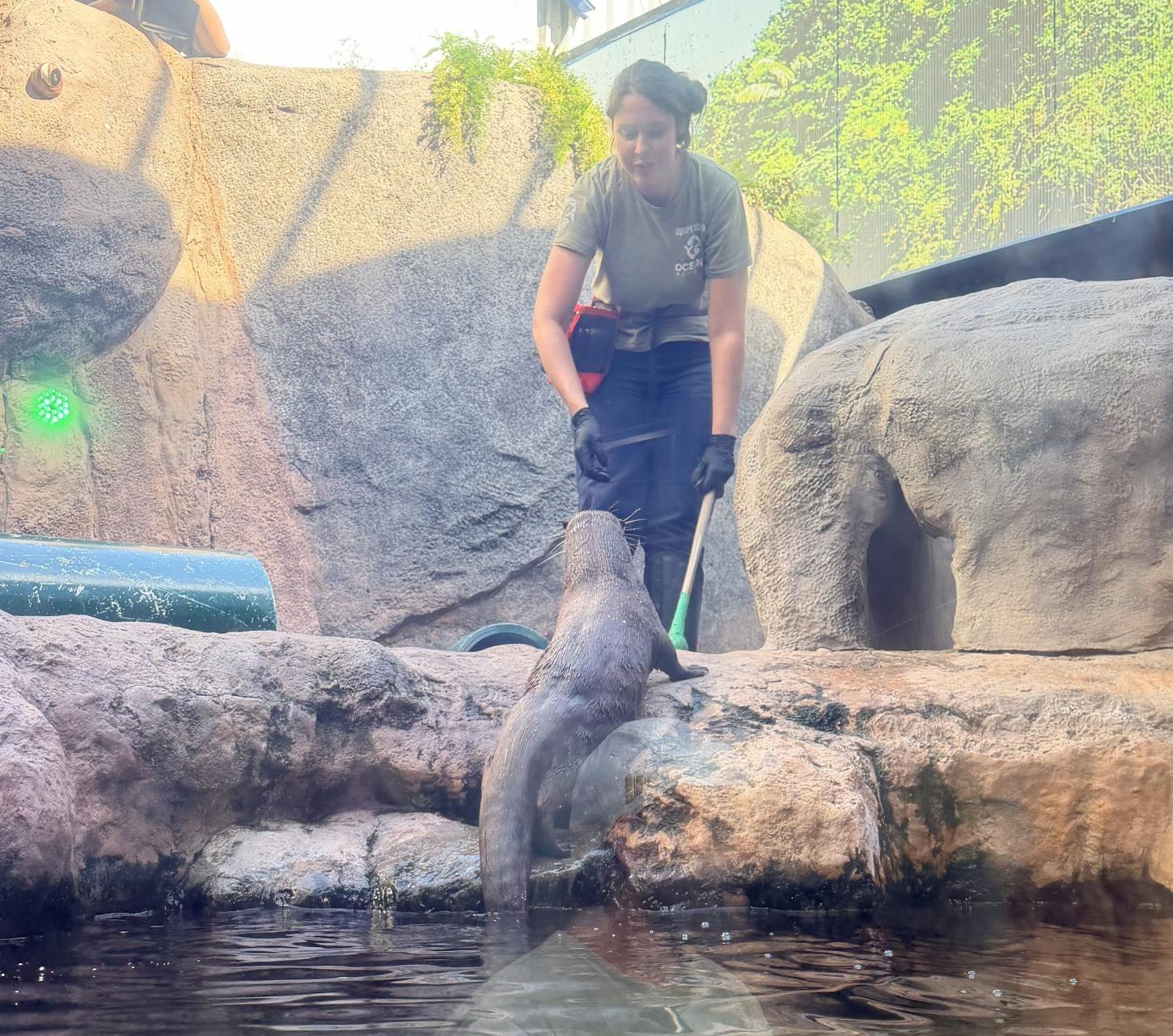 Mulheres que fazem a diferença nos bastidores do Oceanic Aquarium 